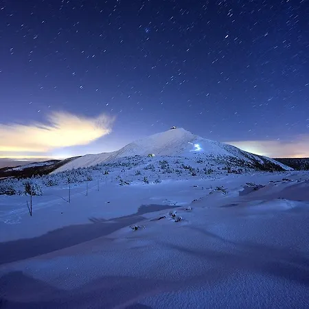 Apartament Zacisze *