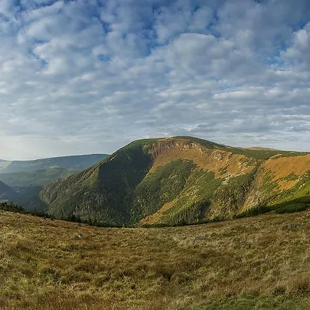 דירה Zacisze קרפאז'