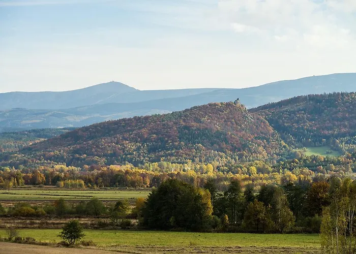 Апартаменты Zacisze *