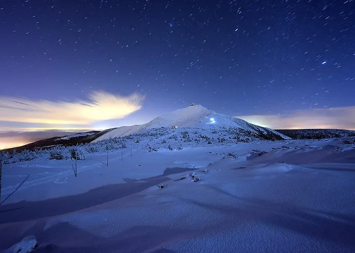 Апартаменты Zacisze *